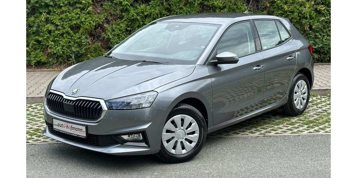 Skoda Fabia 18.136 km 16.490 &euro; Wallenfels 96346