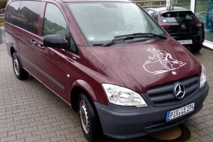 Mercedes Viano