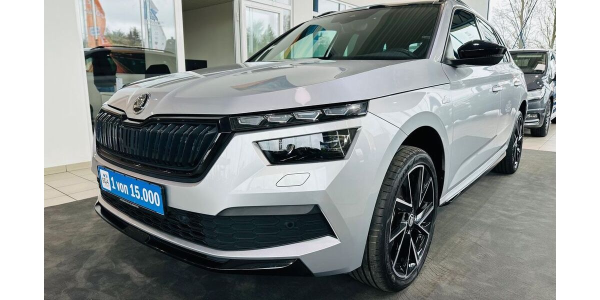 Skoda Kamiq 28.950 km 27.480 &euro; Wetter 58300