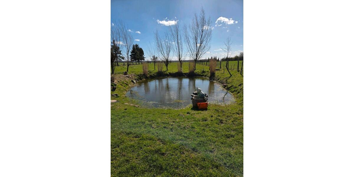 Doppelhaushälfte Malchin - 6 Zimmer, 140 m&sup2;, 159.000&euro; | Angebot:26145007