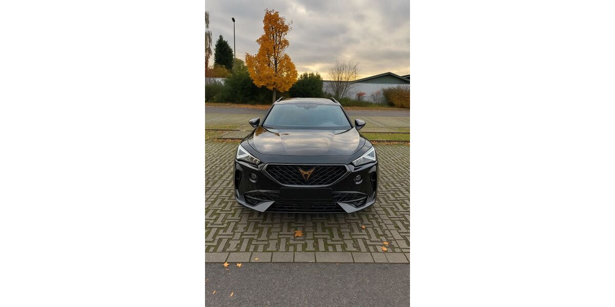 Cupra Formentor 24.821 km 33.000 &euro; Bottrop 46238