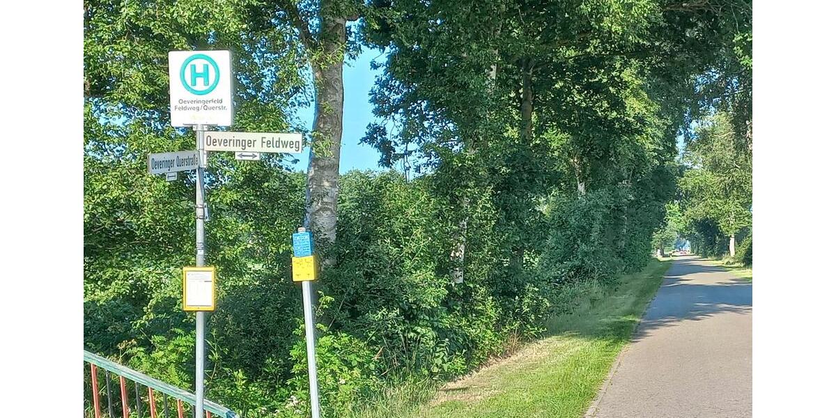 Mehrfamilienhaus, Wohnhaus Emlichheim - 11 Zimmer, 300 m&sup2;, 795.000&euro; | Angebot:26844534