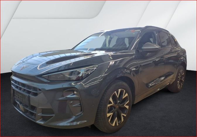 Cupra Terramar 9.430 km 34.750 € Hünxe 46569