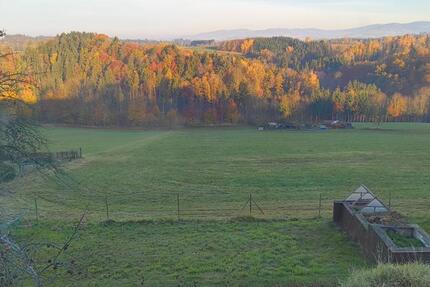 Wohnung in Untergriesbach zimmer