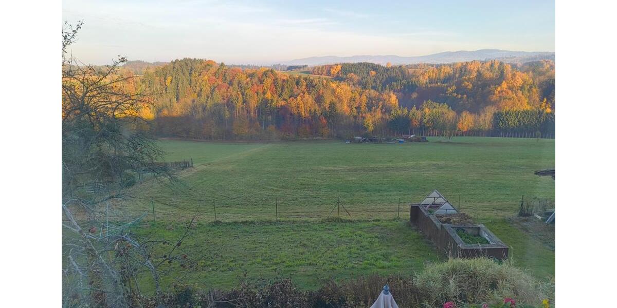 Wohnung in Untergriesbach zimmer