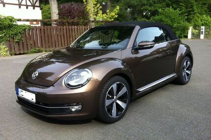 VW Beetle