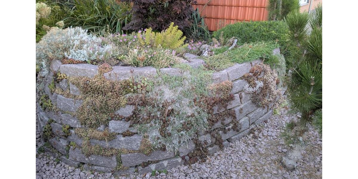 Doppelhaushälfte Braunschweig Timmerlah-Geitelde-Stiddien - 9 Zimmer, 185 m&sup2;, 329.000&euro; | Angebot:23013804