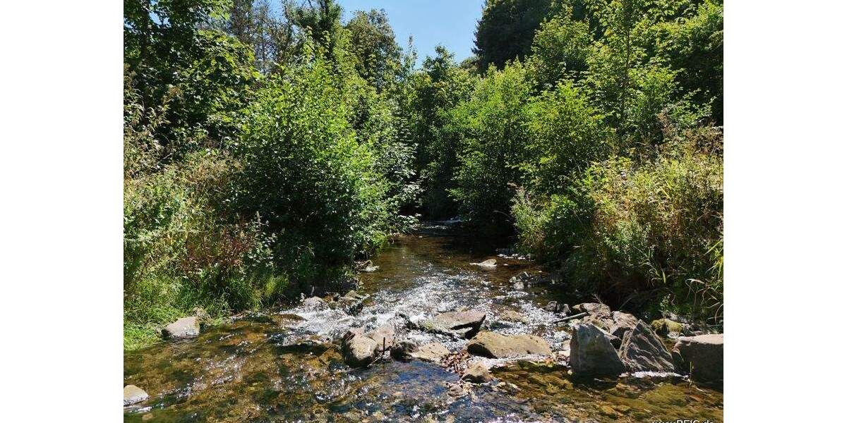 Gewerbeobjekt Gerolstein Müllenborn - 1.050.000&euro; | Angebot:25780090