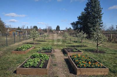 BAUGRUNDSTÜCK FÜR WOHNHAUS MIT SEEBLICK - Grundstück Joachimsthal | Angebot:25836990