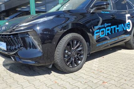 DFM Forthing 5 9.000 km 24.990 &euro; Karlsruhe 76185