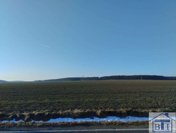 Grundstück Hirschfelde Hirschfelde - 29.000&euro; | Angebot:25998955
