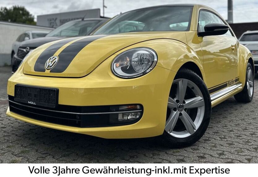 Beetle