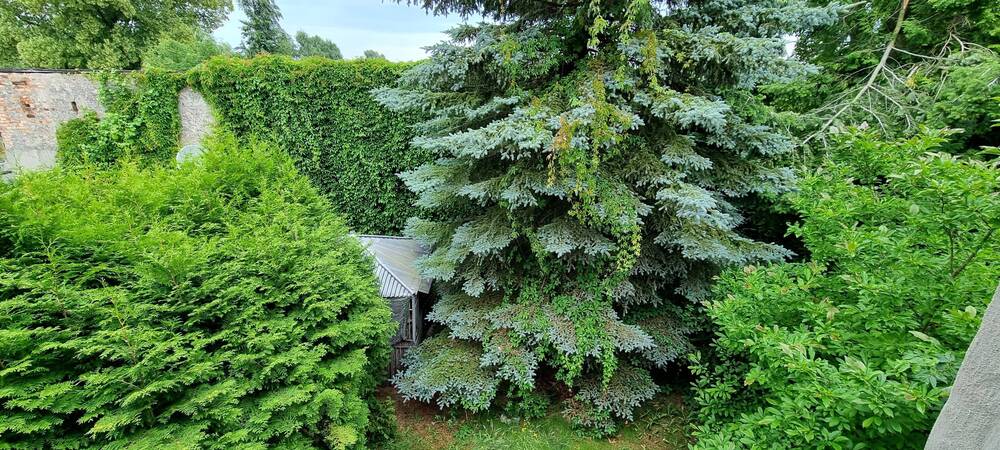 Mehrfamilienhaus, Wohnhaus Eggesin - 1 Zimmer, 340 m&sup2;, 29.000&euro; | Angebot:26568995