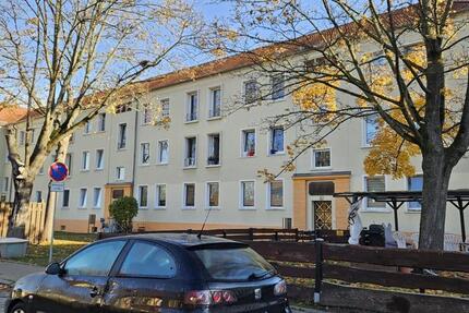 Sonnige 2-Raum Wohnung mit Charme 2 zimmer