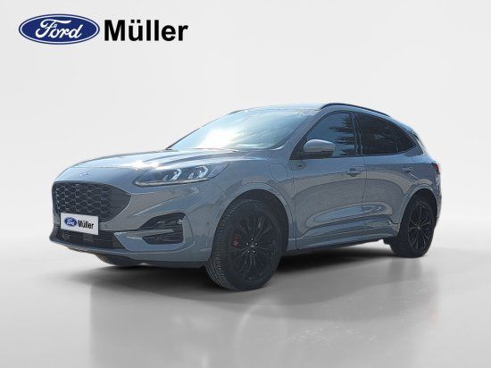 Kuga