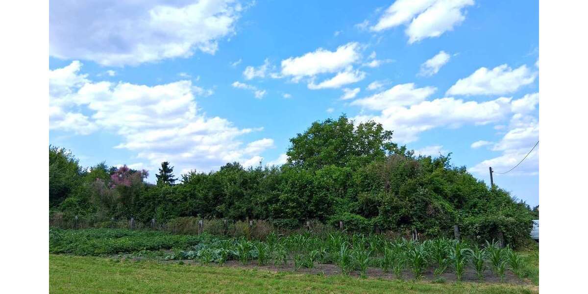 Grundstück Luckenwalde - 199.000&euro; | Angebot:26448689