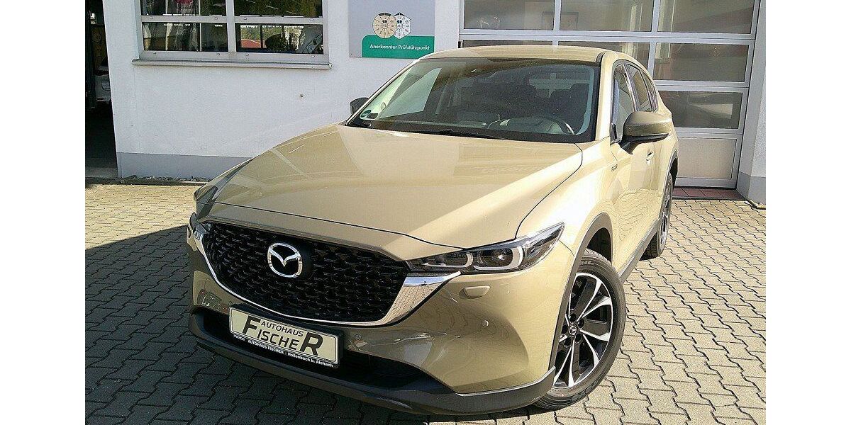 Mazda CX-5 52.393 km 25.980 &euro; Hollenbach b. Aichach 86568