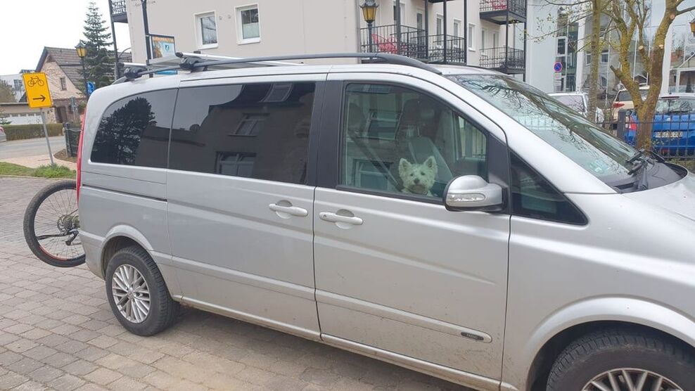 Mercedes-Benz Viano 299.000 km 8.900 € Kühlungsborn 18225