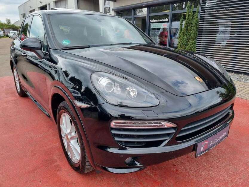 Cayenne