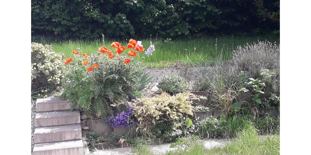 Einfamilienhaus Waiblingen Bittenfeld - 6.5 Zimmer, 170 m&sup2;, 698.000&euro; | Angebot:25085454