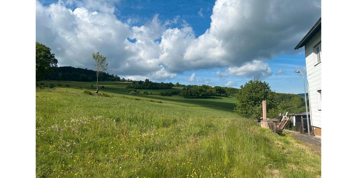Einfamilienhaus Steinau an der Straße - 8 Zimmer, 1.985 m&sup2;, 169.000&euro; | Angebot:26987345