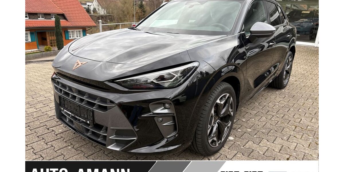 Cupra Terramar 5.000 km 39.995 &euro; Bonndorf-Wellendingen 79848