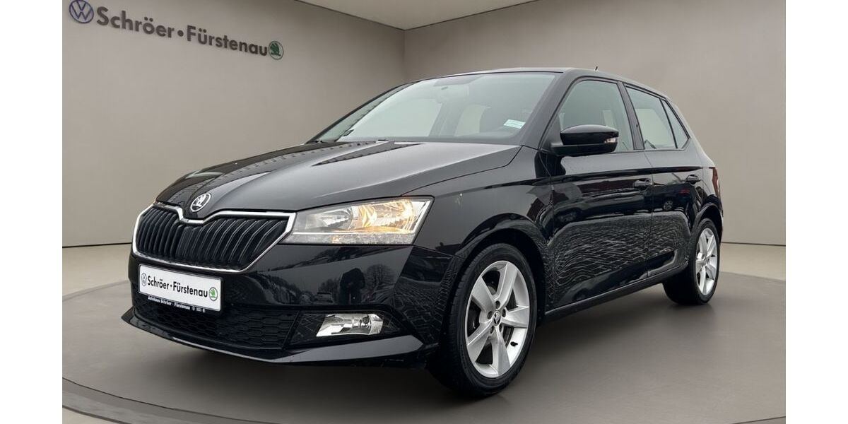 Skoda Fabia 94.800 km 12.490 &euro; Fürstenau 49584