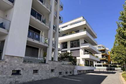 Wohnung zum Mieten in Mainz 2.760 € 115 m²