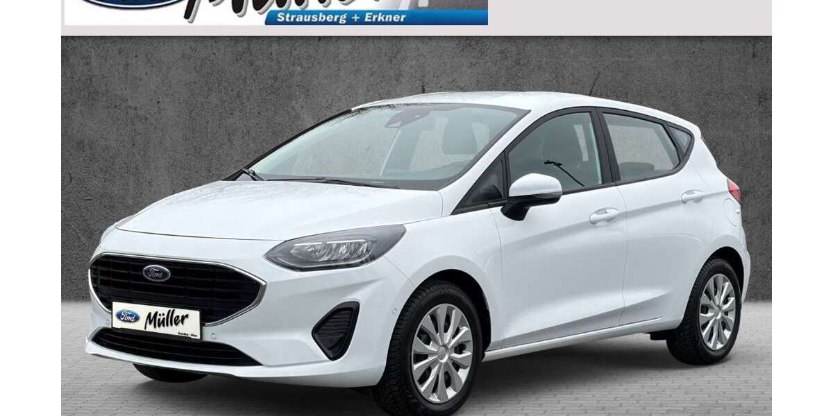Ford Fiesta 13.730 km 13.900 &euro; Strausberg 15344