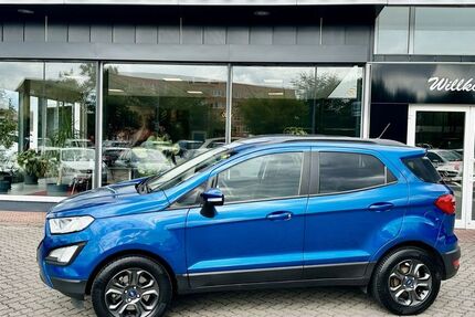 Ford EcoSport 50.980 km 13.950 &euro; Burg 39288