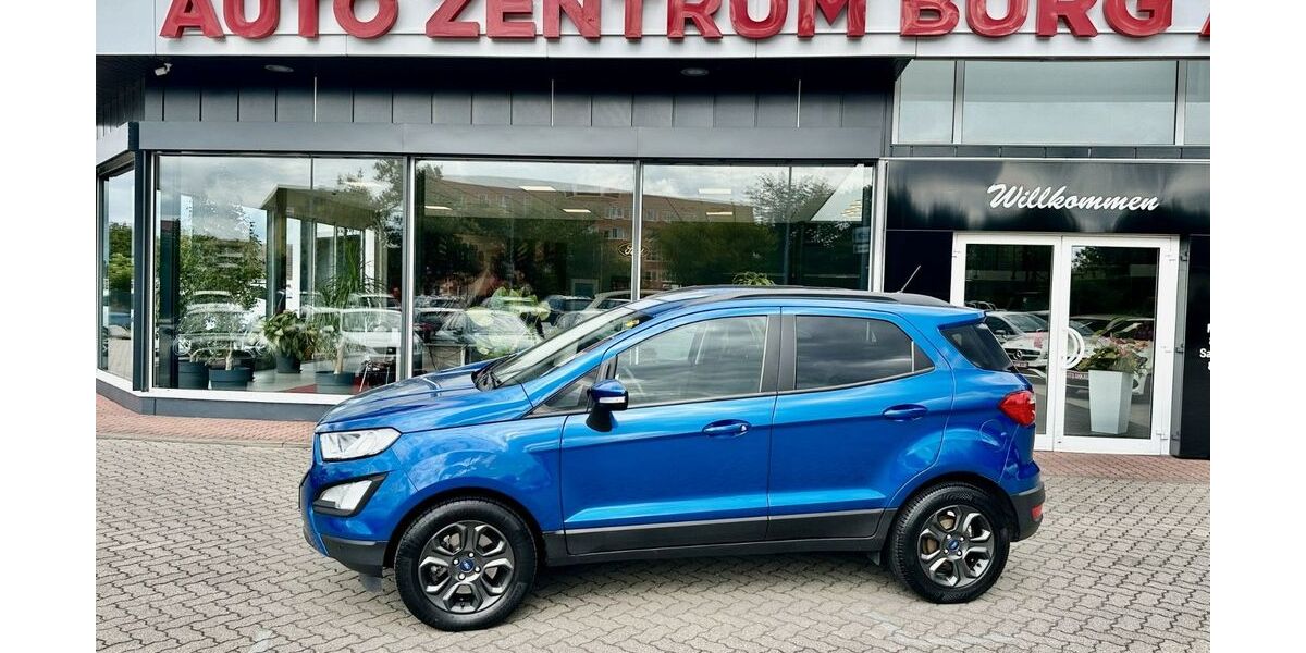 Ford EcoSport 50.980 km 13.950 &euro; Burg 39288