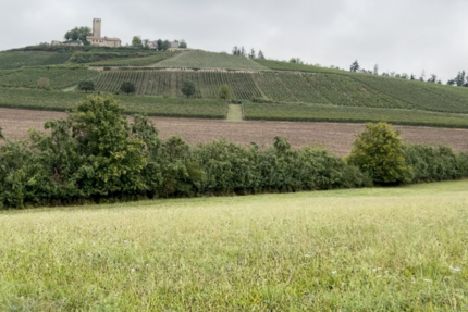 Grundstück in Sulzfeld 48.000 € 21617 m²