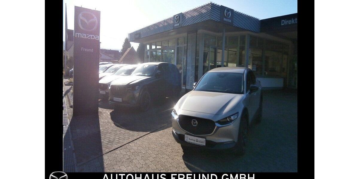 Mazda CX-30 16.300 km 26.390 &euro; Fischbach bei Dahn 66996