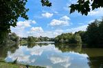 Schöne 3 oder 4-Zimmer-Whg nahe Obersee