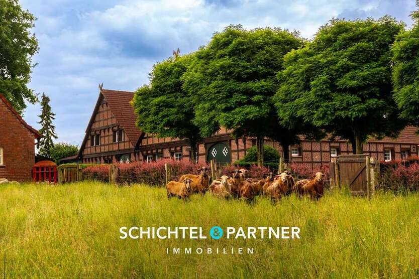 Haus zum Kaufen in Groß Berßen 1.199.000 € 589.28 m²