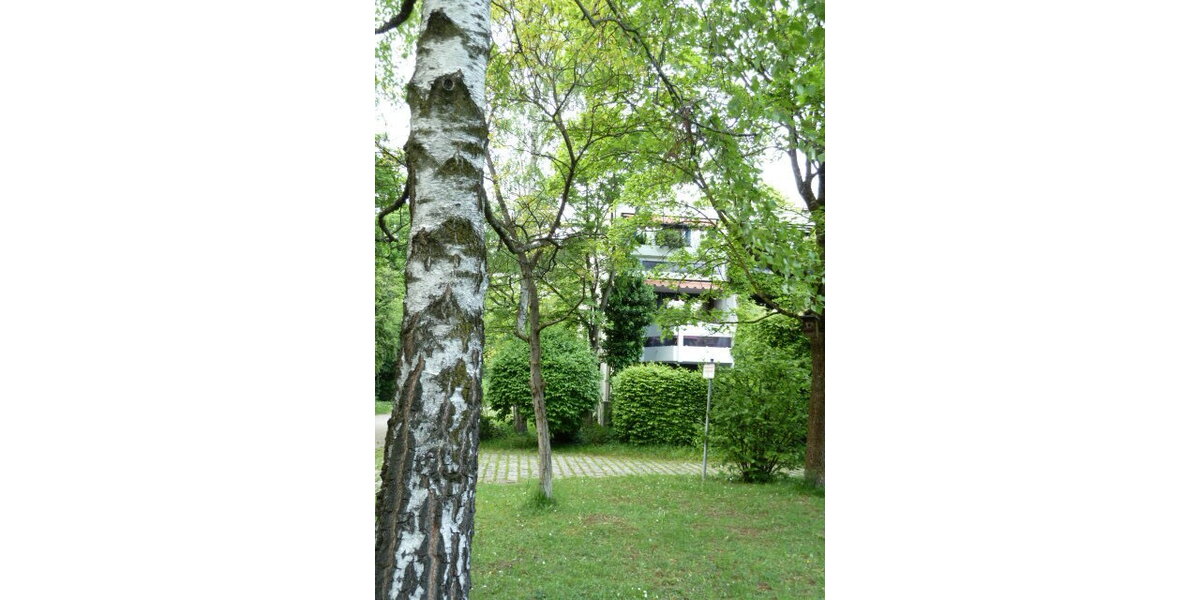 Reihenendhaus im Olympiadorf umgeben vom Olympiapark möbliert o. unmöbliert 4 zimmer