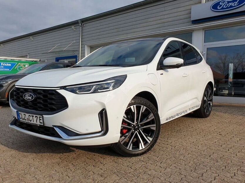 Kuga