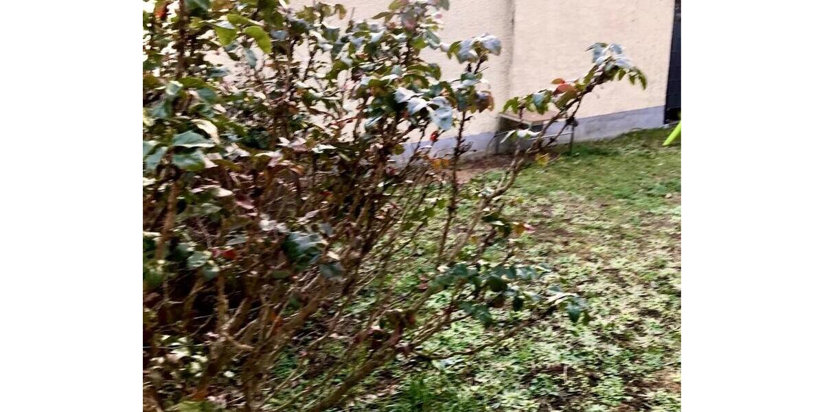 Dachgeschoßwohnung Ginsheim-Gustavsburg Gustavsburg - 3 Zimmer, 60 m&sup2;, 209.000&euro; | Angebot:27219950