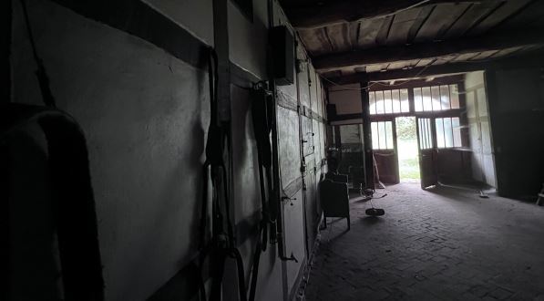 Historischer Niedersachsen- Bauernhof in Fachwerk mit Pferdeboxen u. tollen Eichenbaumbestand - Gewerbeobjekt Diepenau | Angebot:27142419