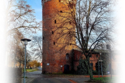 Helle, freundliche & voll möblierte 2 Raumwohnung zu vermieten 2 zimmer