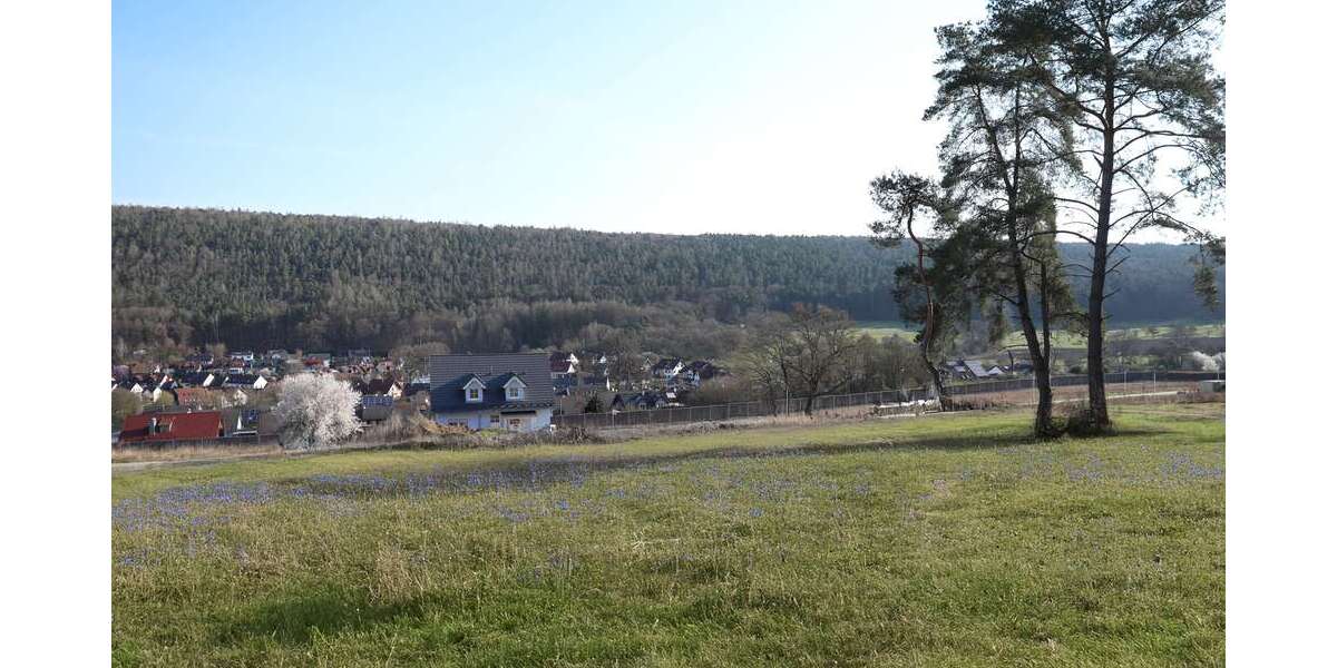 Grundstück Lohr am Main - 177.920&euro; | Angebot:20196297