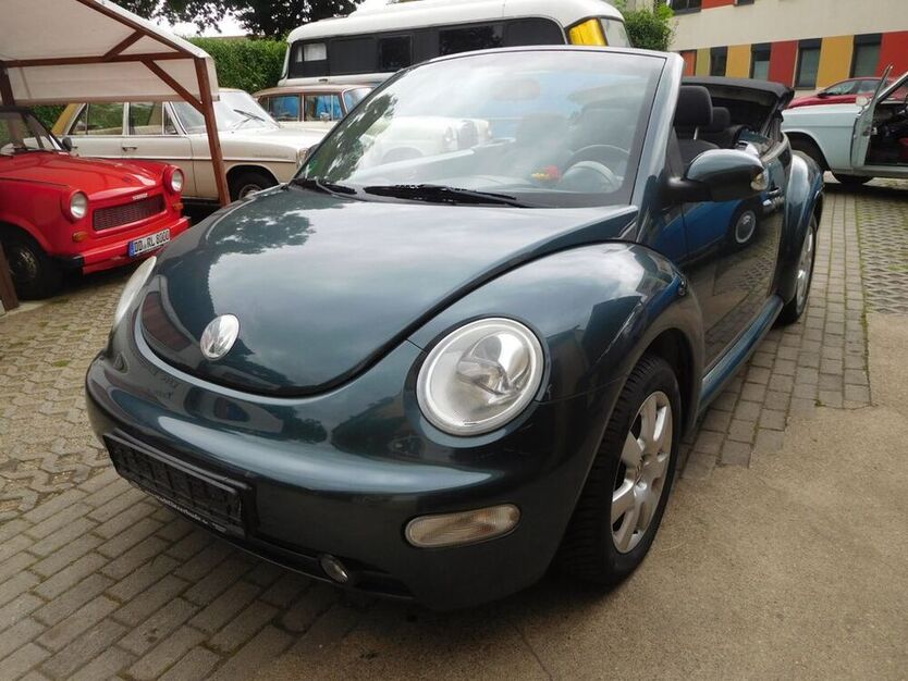 Beetle