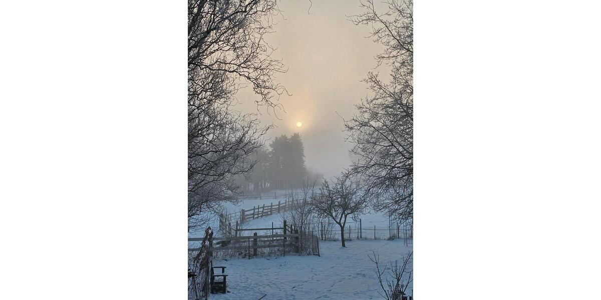 Einfamilienhaus Edewecht - 11 Zimmer, 300 m&sup2;, 465.000&euro; | Angebot:25640645