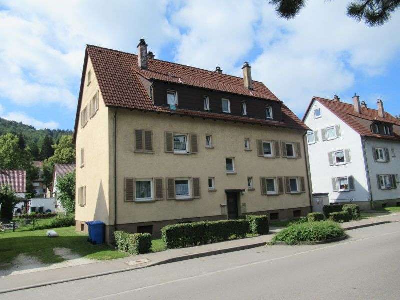 Wohnung zum Mieten in Albstadt-Ebingen 301,13 € 51 m²