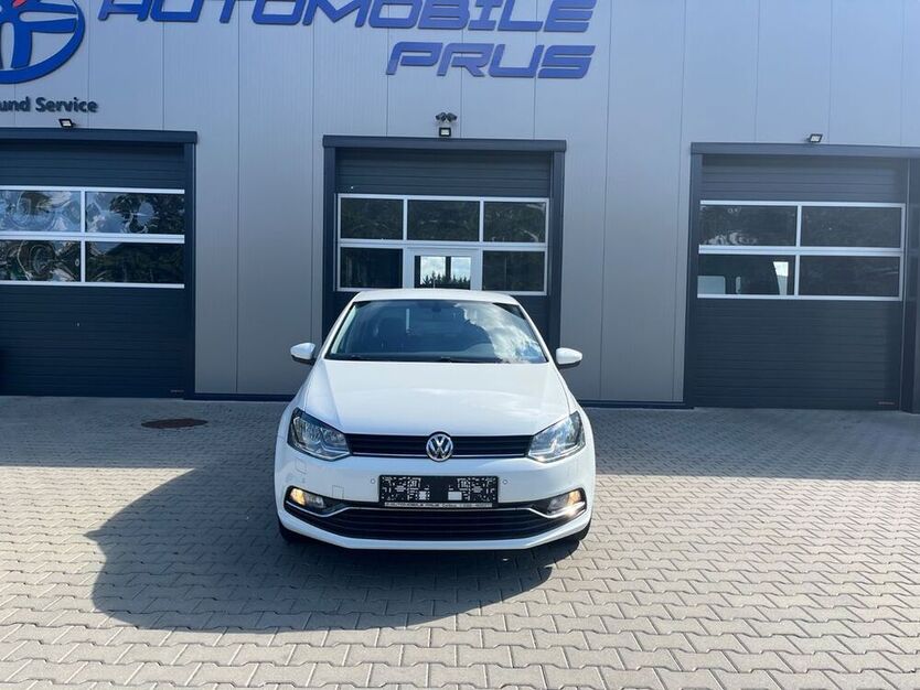 Polo