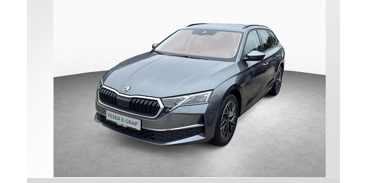 Skoda Octavia 18.900 km 33.480 &euro; Roth 91154
