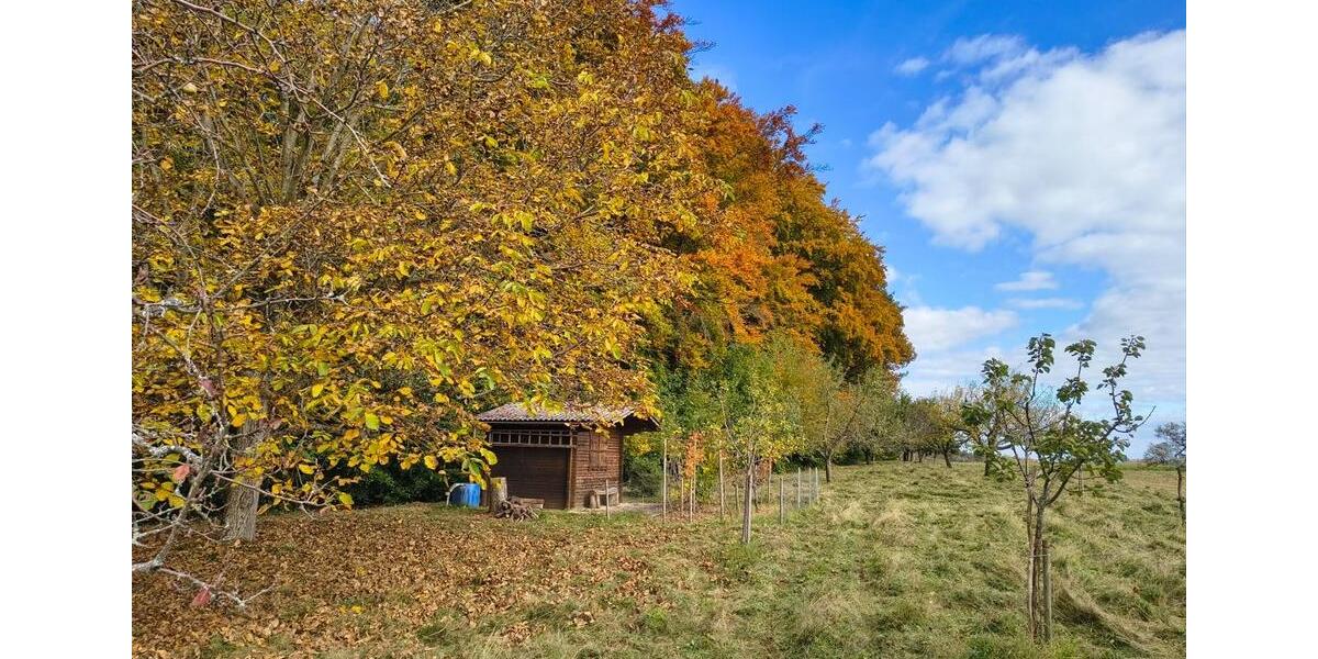 Grundstück Schorndorf - 43.900&euro; | Angebot:26359020