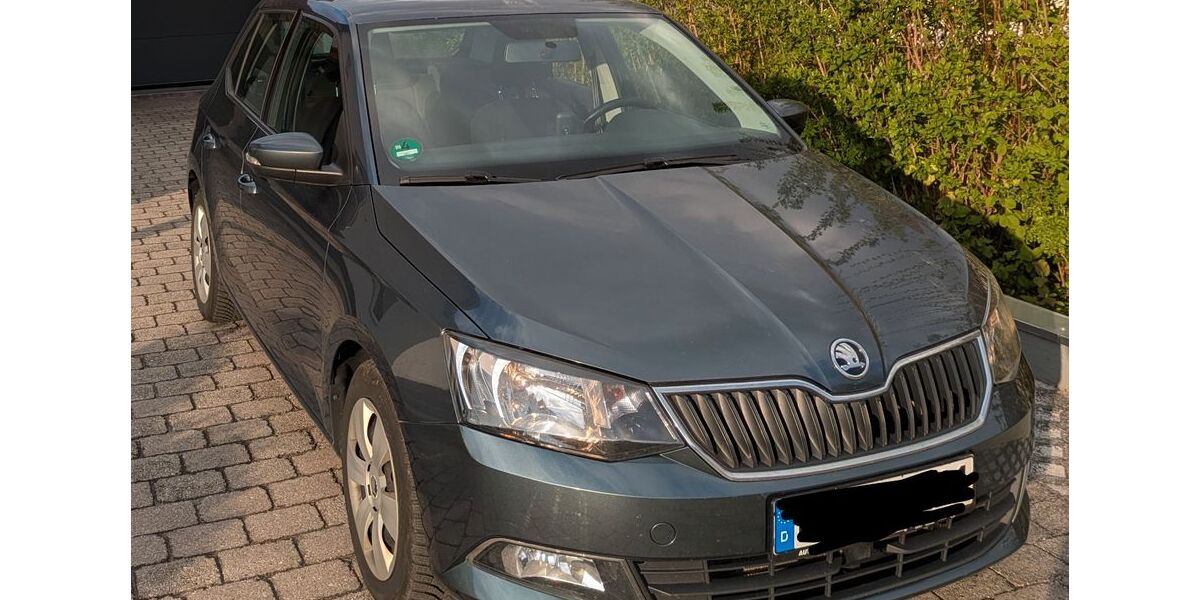 Skoda Fabia 188.000 km 5.300 &euro; Kareth 93138