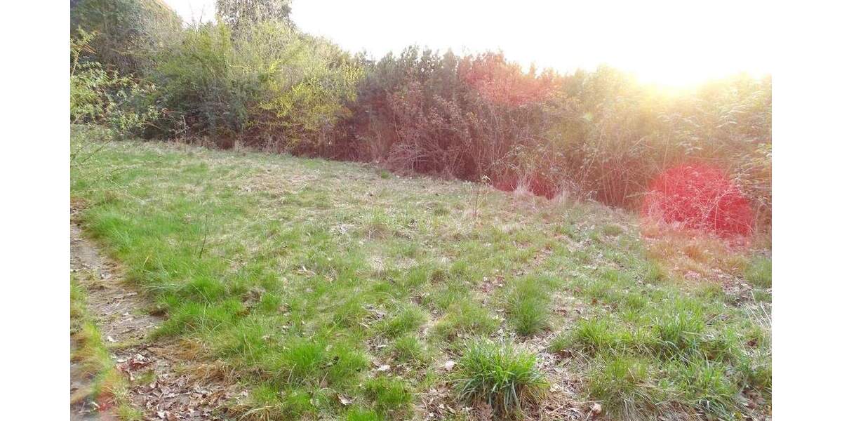 Grundstück Lörrach - 1 Zimmer, 1.600.000&euro; | Angebot:25337992