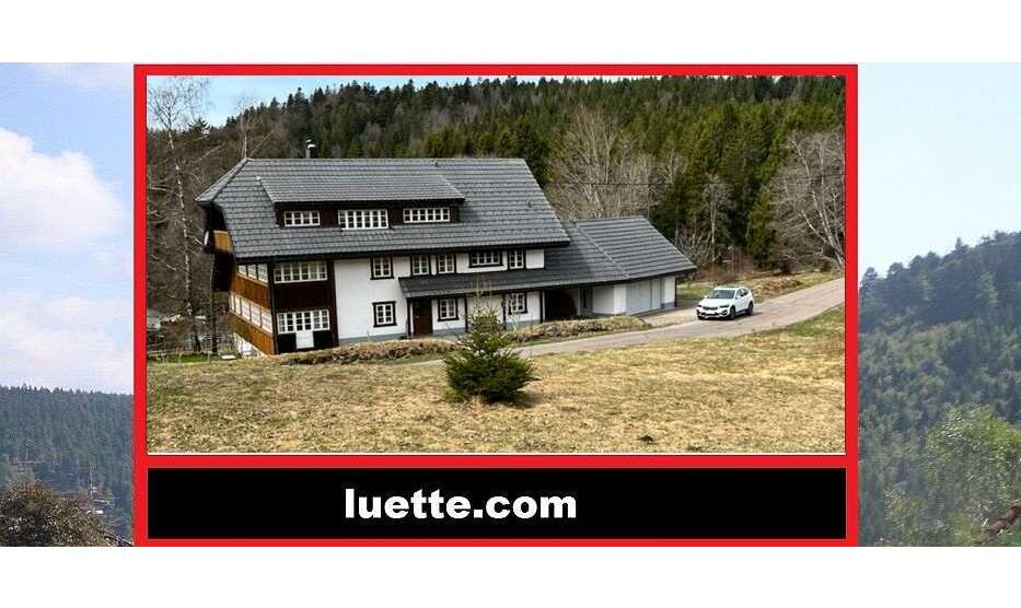 Haus zum Kaufen in Dachsberg 780.000 € 306.56 m²